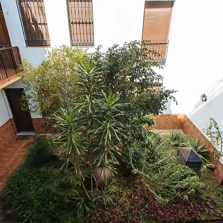 Requena Apartman *
